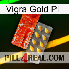 Vigra Gold Pill new01